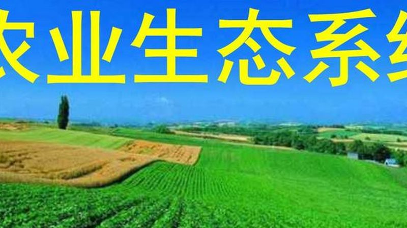 露天种植桃树防病技巧解析