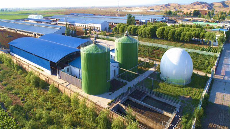 成都农产品批发市场价格比较：揭秘实惠之选