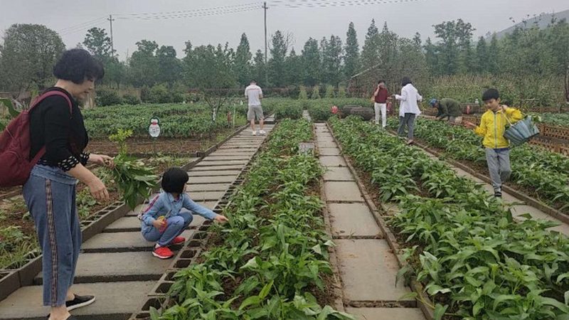 农民专业合作社注销，哪些条件必须满足？**