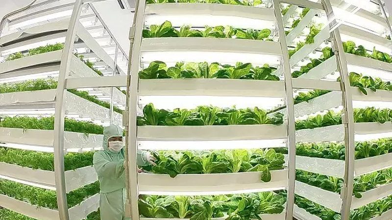 广西农产品冷库如何选择？性价比高的关键因素解析