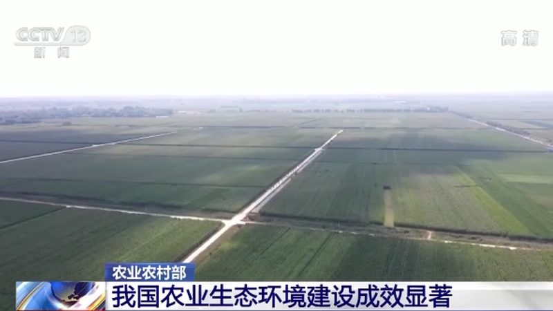 企业食堂配送，如何选择靠谱供应商？**