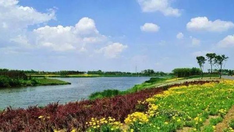 批发商的货从哪来：拆解农产品厂家发货全流程