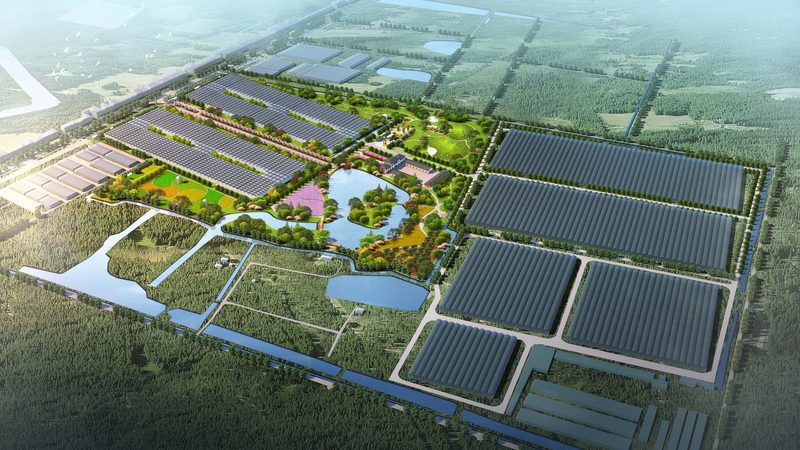 北京农民专业合作社申请流程详解