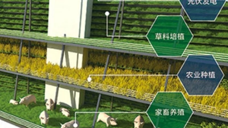 农业产业园规划：从零开始的五个关键步骤