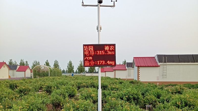 生态农业产业链搭建：规范之路，绿色发展之道