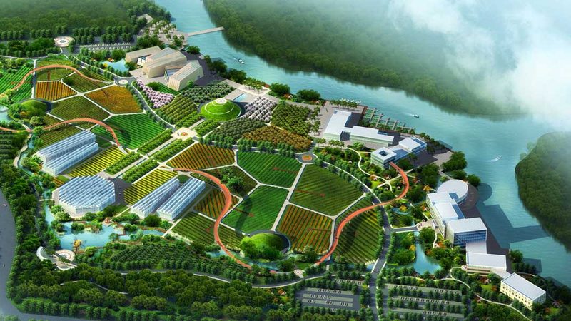 水果种植合作社年收入计算：关键步骤与注意事项