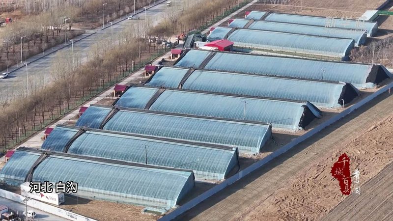 水果种植设备：品牌型号参数解析与选购要点