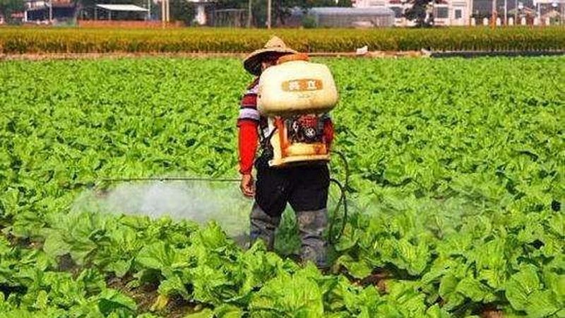 合作社年报填报：关键步骤与注意事项