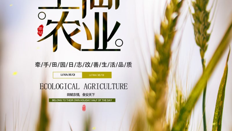农业产业园规划设计：收费标准背后的考量**